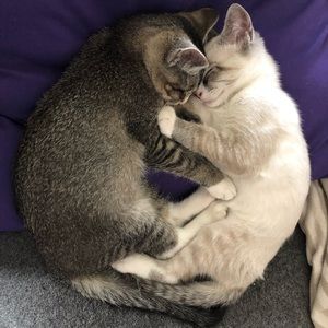 Meet your Posher, Robyn